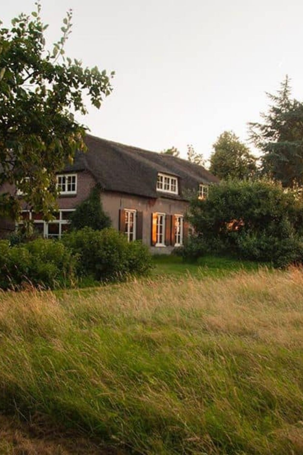 Opleiding familieopstellingen op de boerderij van de Bronhoeve natuurfoto in utrecht